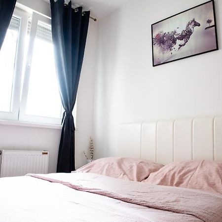 Apartman Black Star Leilighet Novi Sad Eksteriør bilde