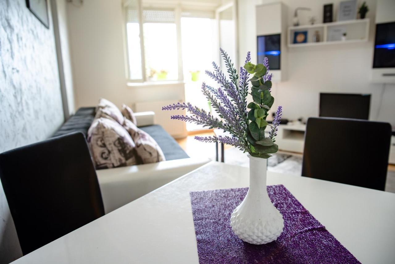 Apartman Black Star Leilighet Novi Sad Eksteriør bilde